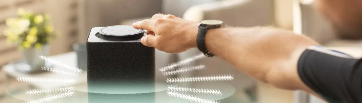 Voice & Visual Search