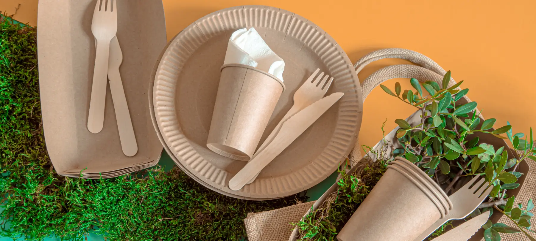 Bioandchic.com