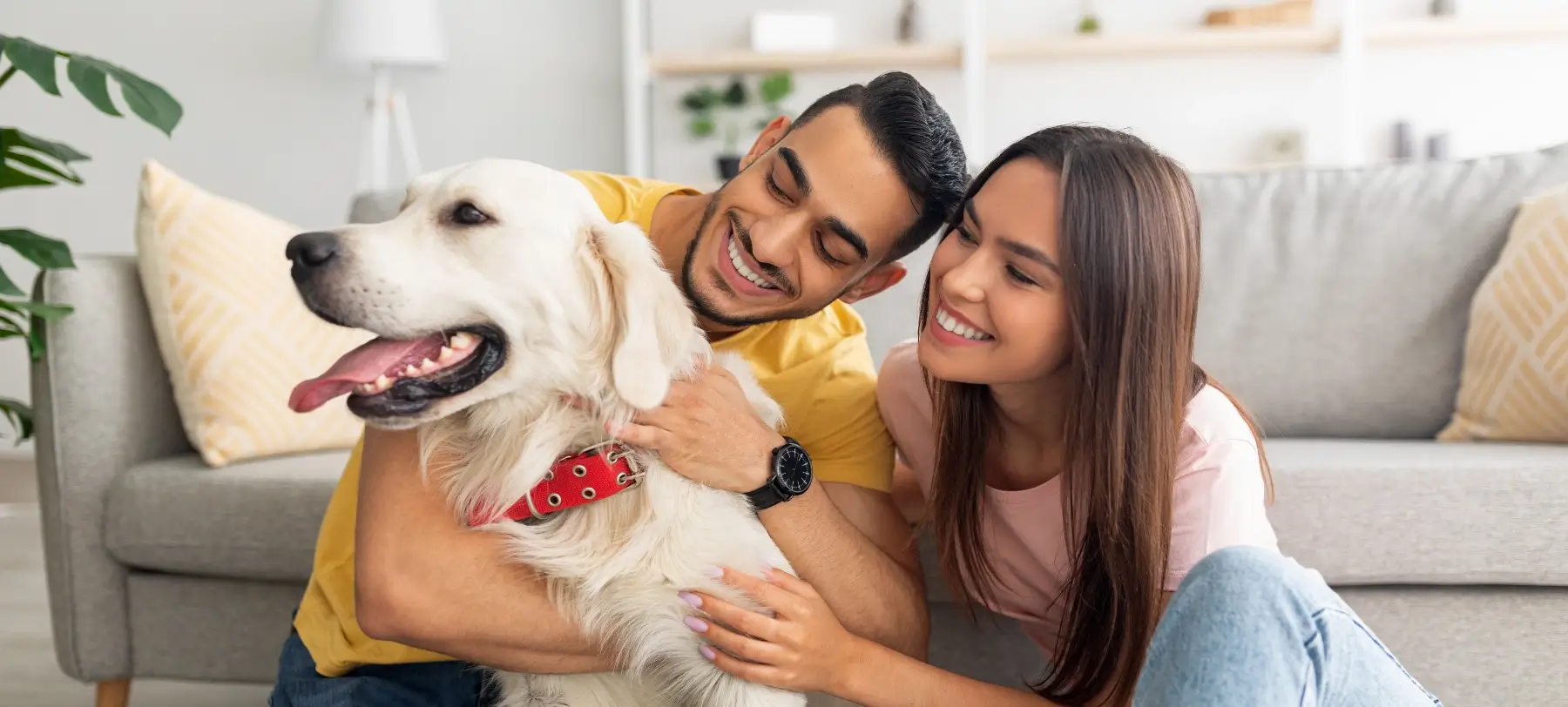Carol's Pet Cafe