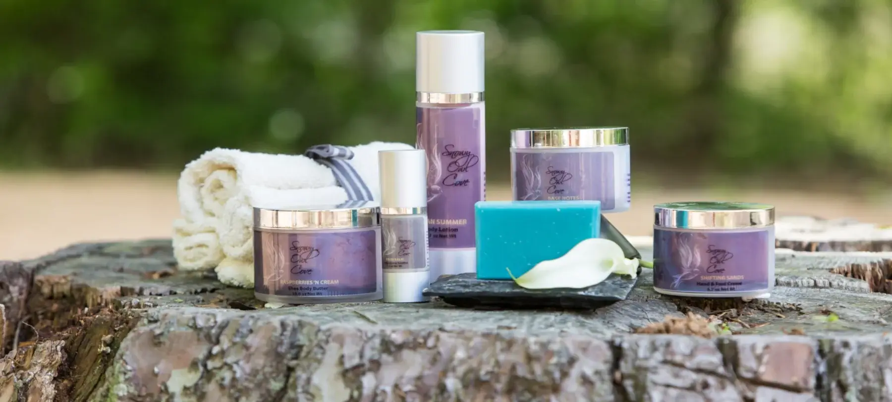 Snowy Owl Cove - Custom Product Quiz App