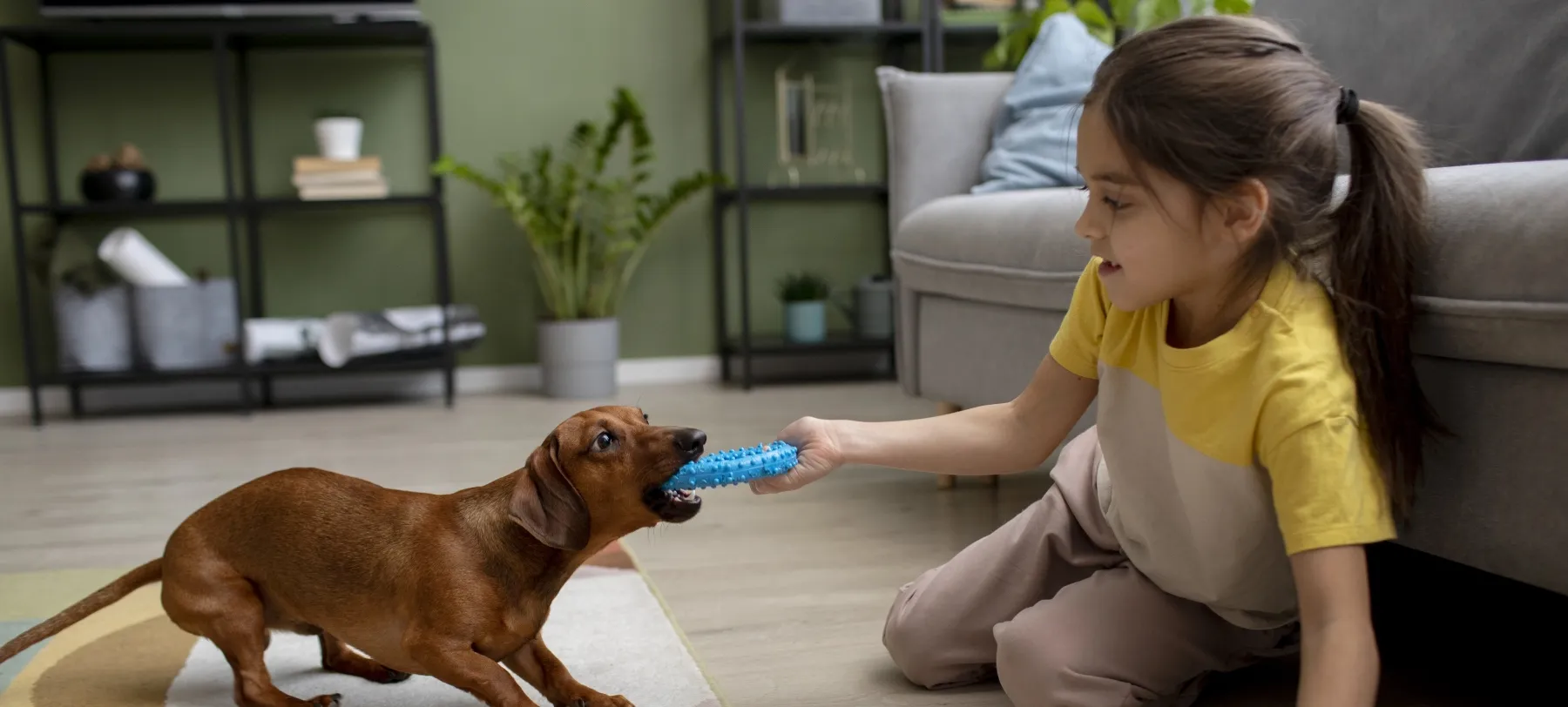 Generation Pet