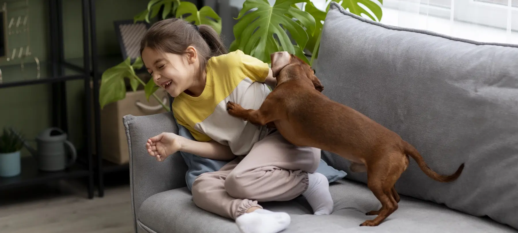 Pets Love Us Too Pets Love Us Too
