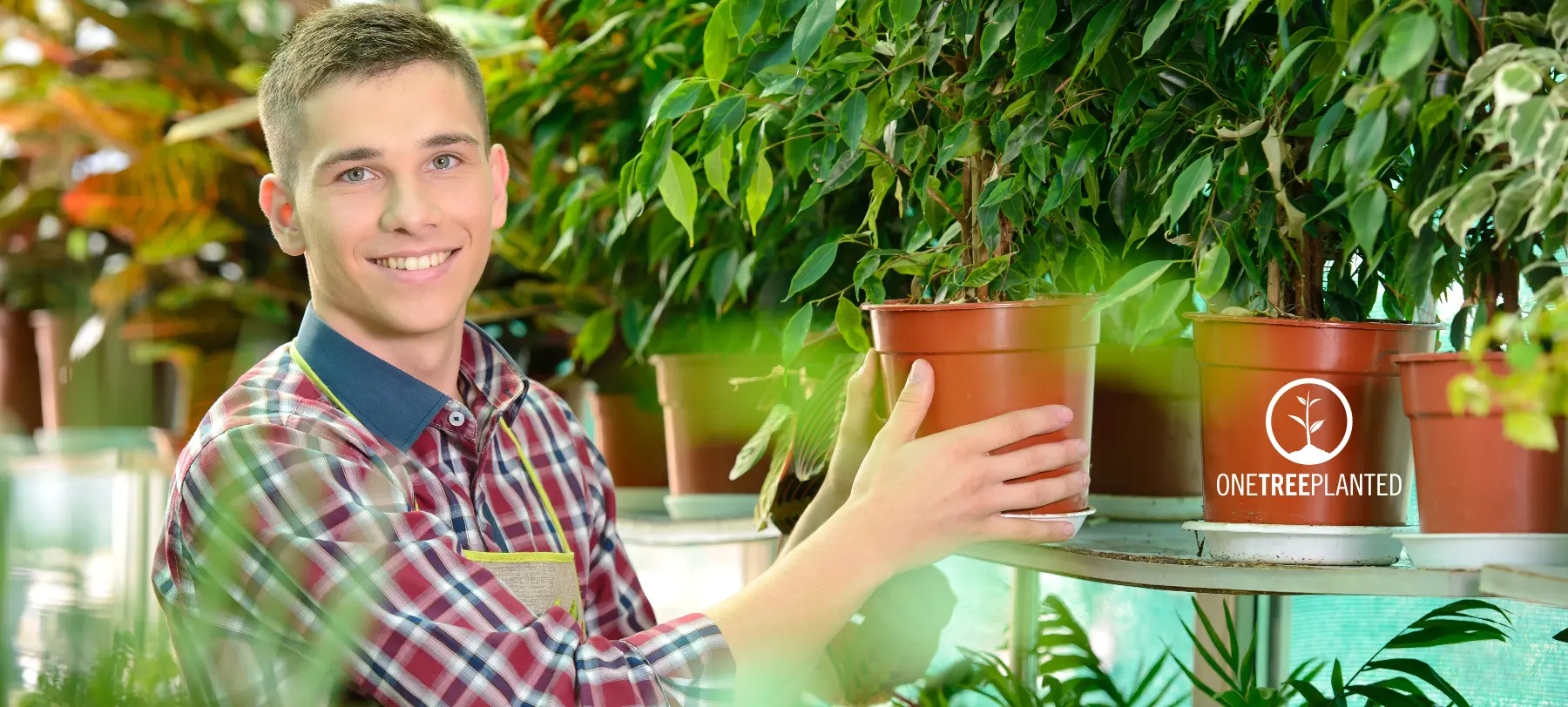 Onetreeplanted Onetreeplanted