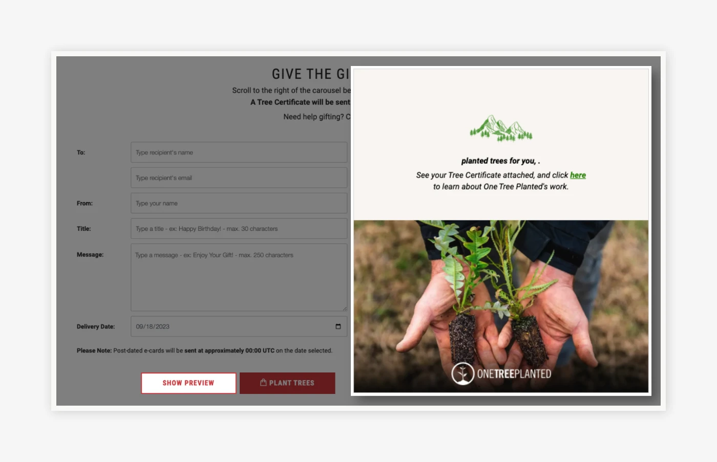 Real-Time Preview Popup – See Before You Send